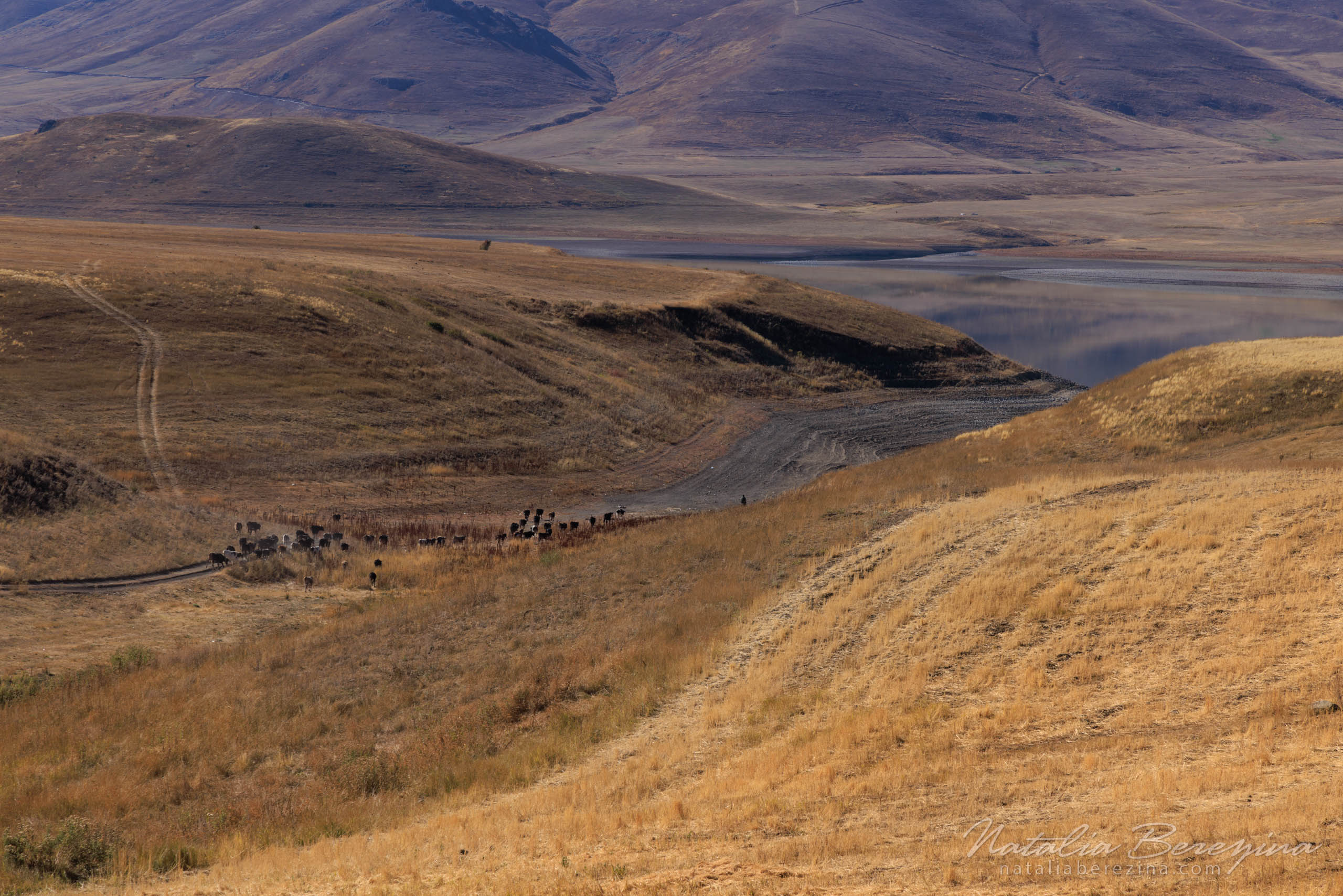 Armenia, landscape, Spandaryan Reservoir AR1-NB086A3103 - Armenia - Natalia Berezina Photography