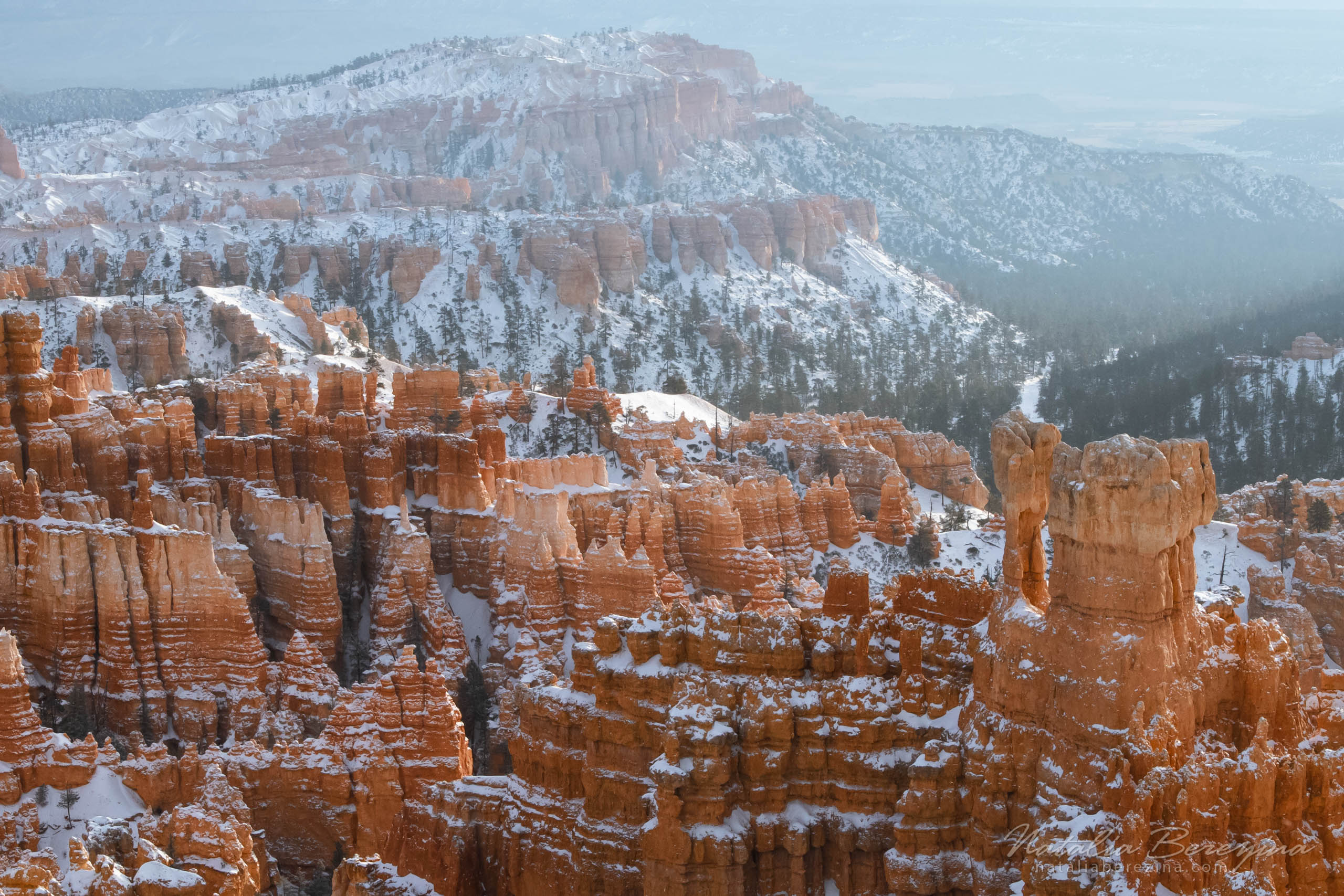 Bryce Canyon, USA, landscape, mountains, snow, stone, orange BC2-NB7B6A5101 - Bryce Canyon National Park, Utah, USA - Natalia Berezina Photography